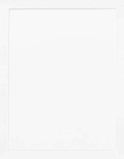 Shoe Moulding SHM8