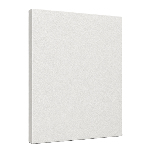 Touch Switch Shelf TS3615